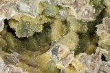 Yellow Crystal Filled Septarian Geode - Utah #98389-1